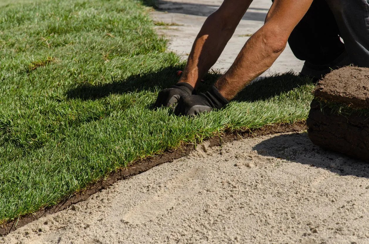 Landscaper kneeling in deep green turf while installing sod